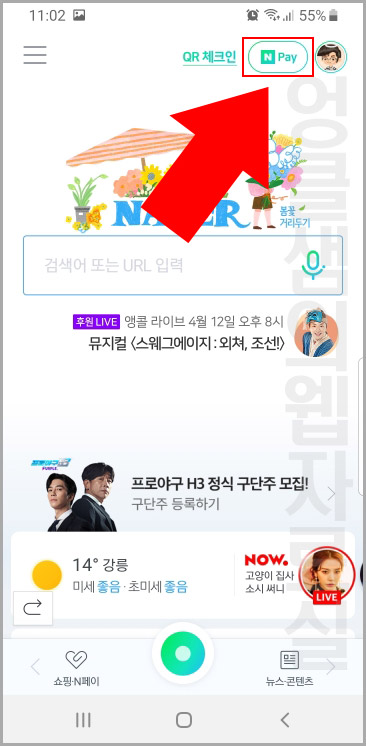 네이버페이