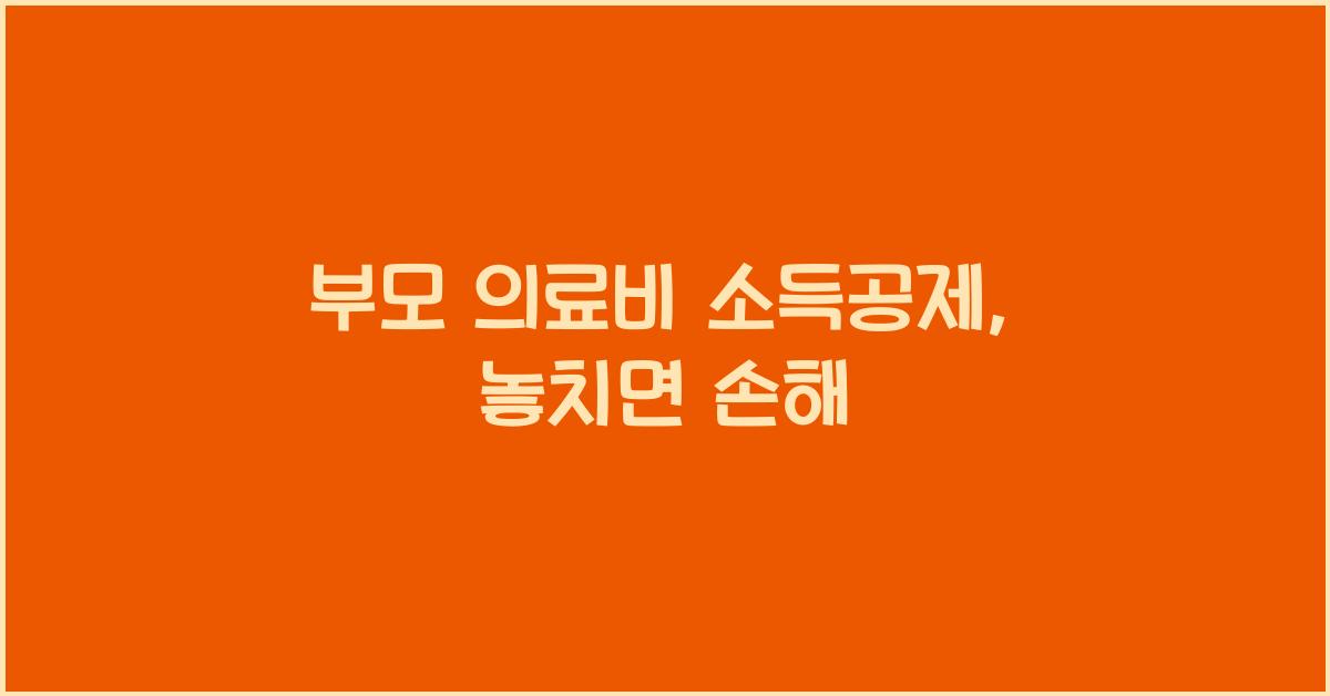 부모 의료비 소득공제