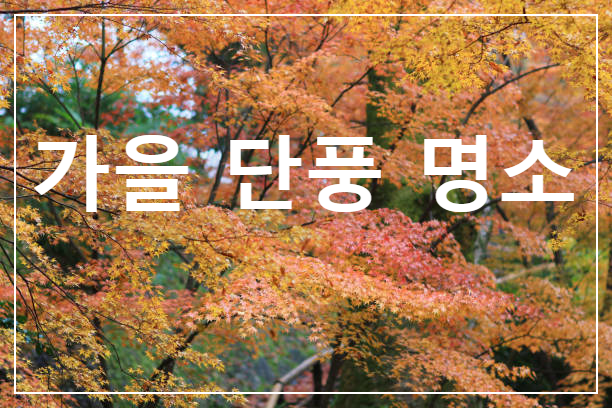 단풍 관광 명소 스템프 투어