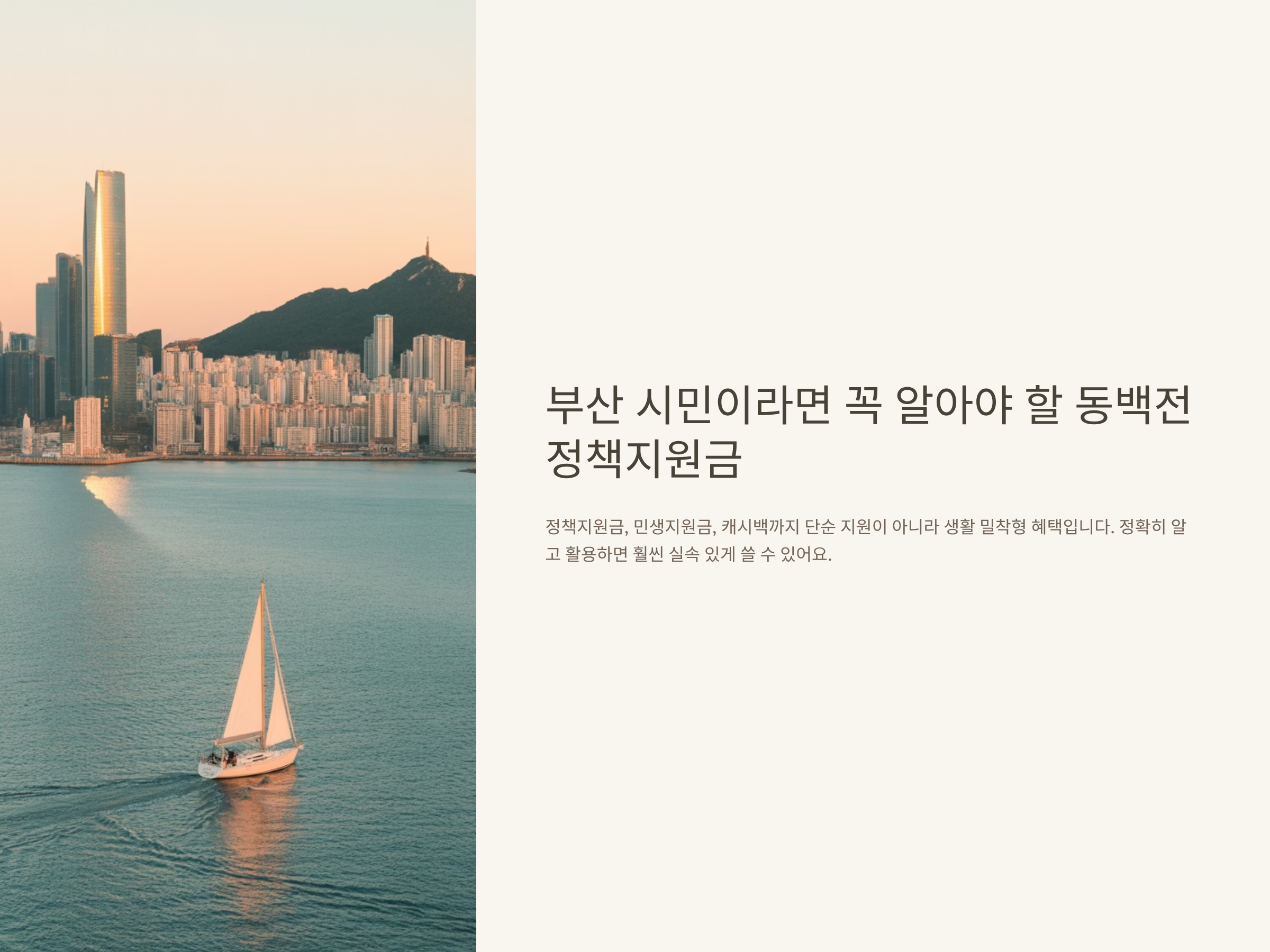 동백전 정책지원금 한눈에 정리: 신청, 사용처, 캐시백, 민생지원금 실경험 안내