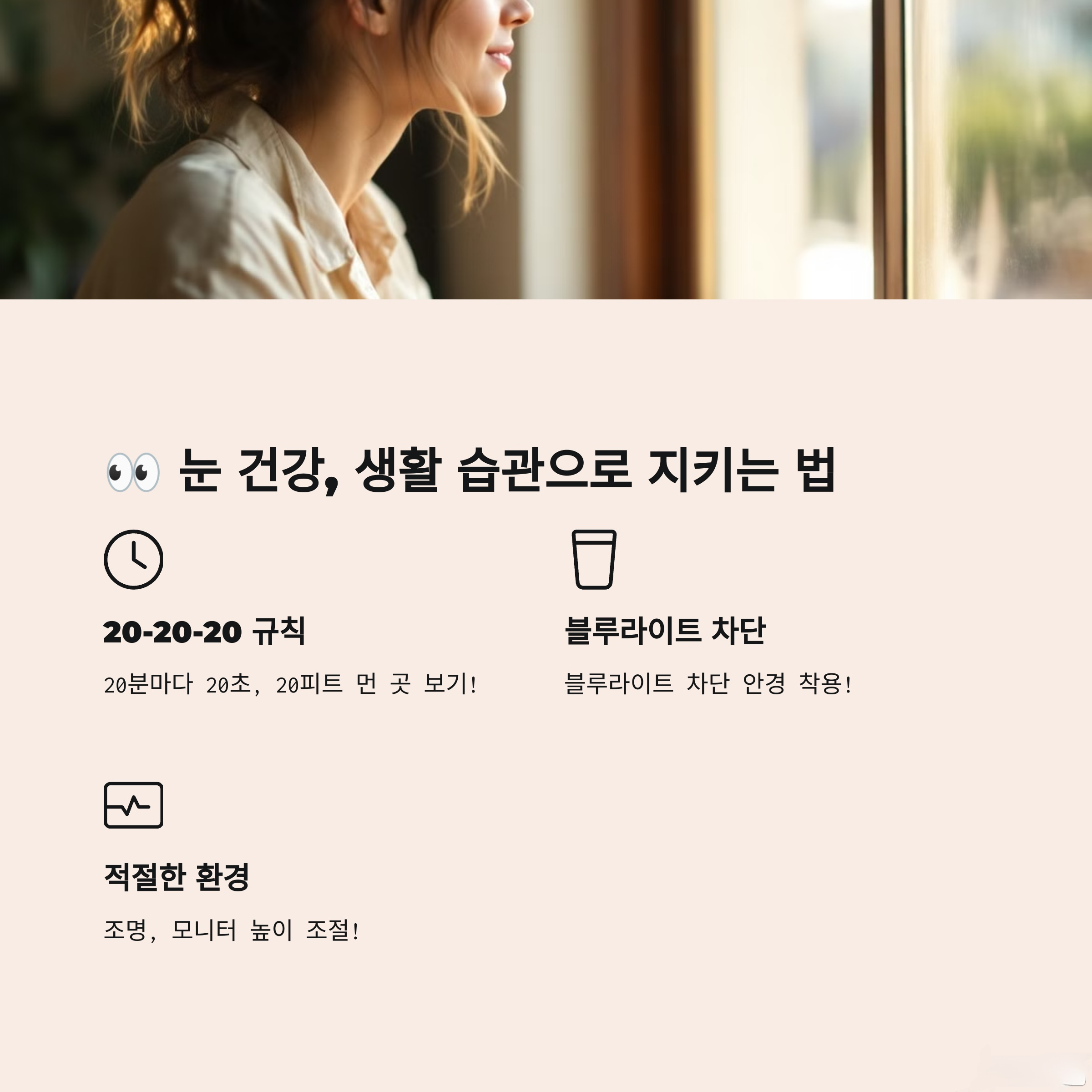 눈 건강 영향제