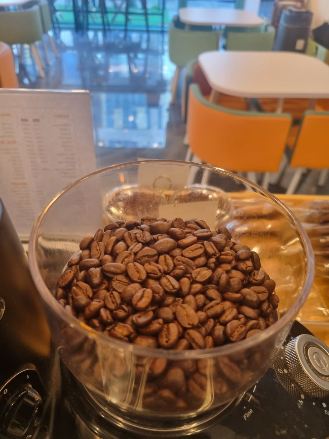 카페-모이라-원두