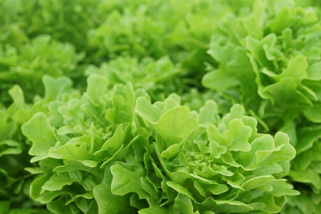 NMN 영양제 BEST 5 &ndash; 저속노화 인기 제품 추천