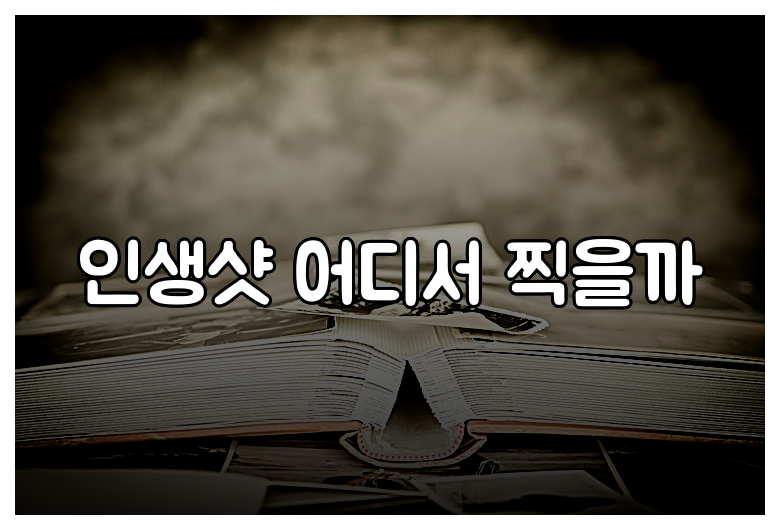 인생샷 어디서 찍을까