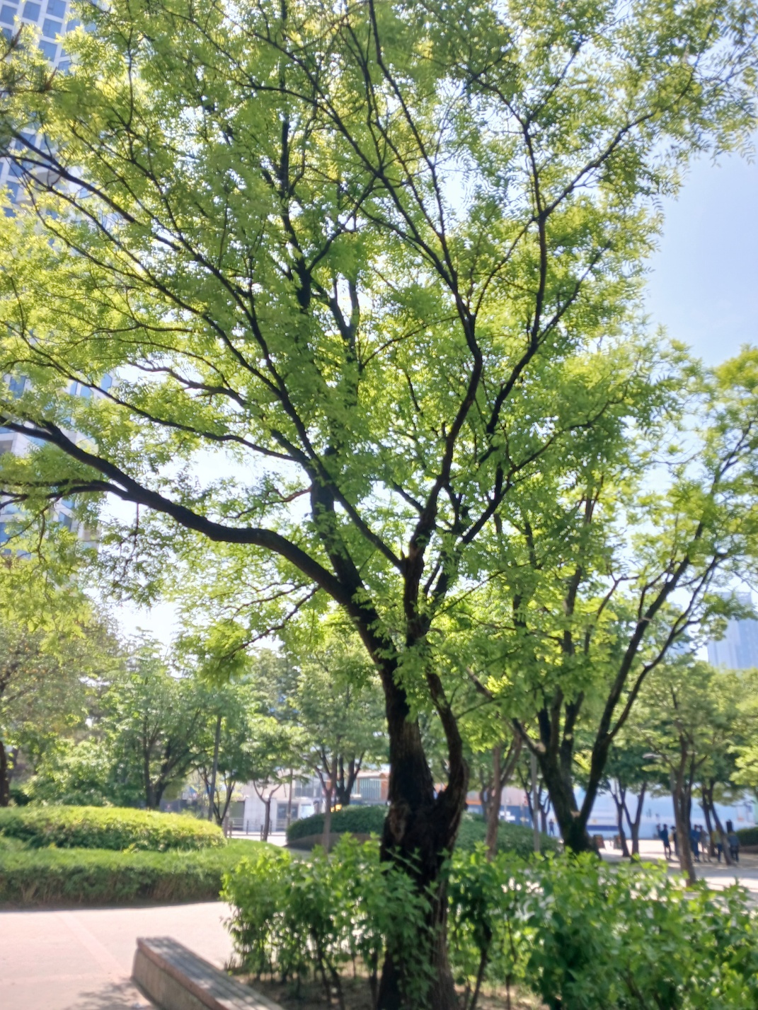 식물보호기사-산업기사