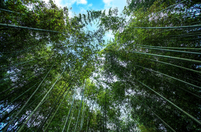 담양 역사 명소 음식점