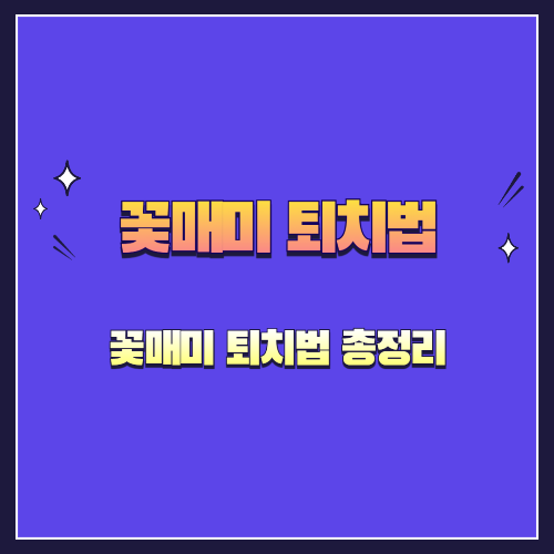 꽃매미 퇴치법 총정리