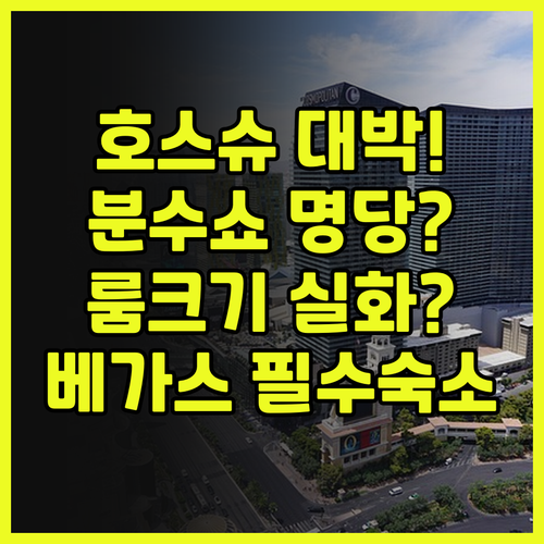 호스슈 라스베이거스 추천 후기 벨라지..