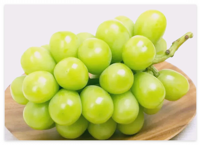 샤인머스켓 제철