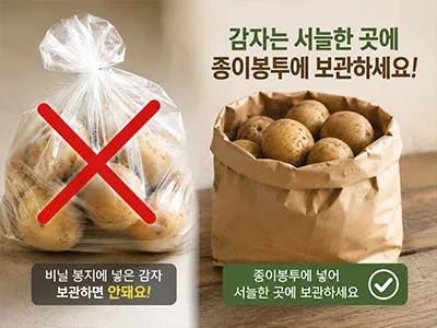 감자 종이봉투에 보관