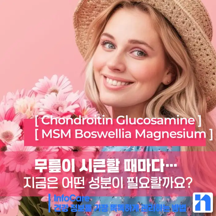 콘드로이친, 글루코사민, MSM, 보스웰리아, 마그네슘 관절영양제 효능 비교