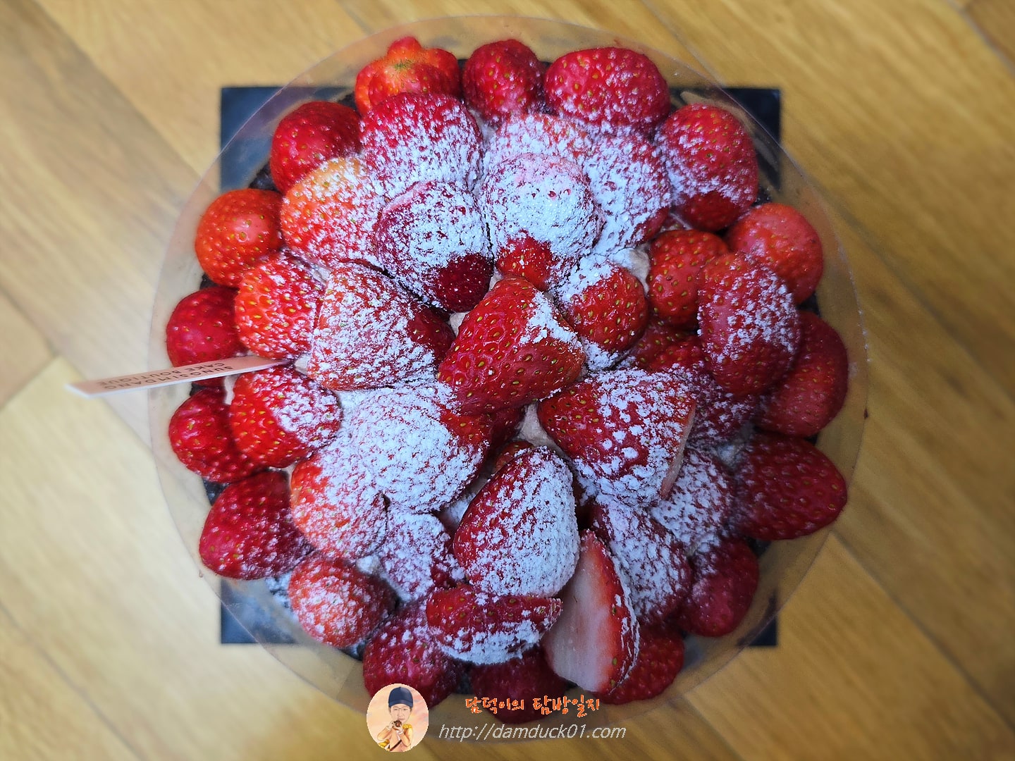 딸기 시루 막내