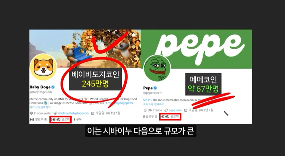 일론 머스크가 주목한 베이비 도지 코인, 급등 가능성은?