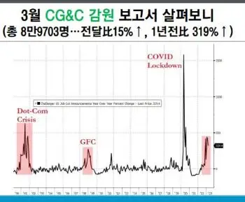 CG엔C감원보고서