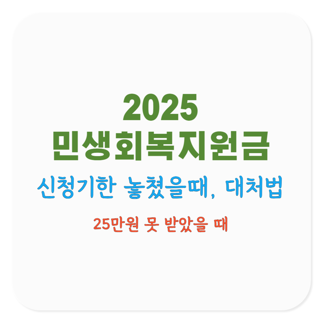 2025 민생회복지원금 신청기간 놓치면 어떻게 되나요? 대처법 총정리(코로나19 재난지원금 비교)