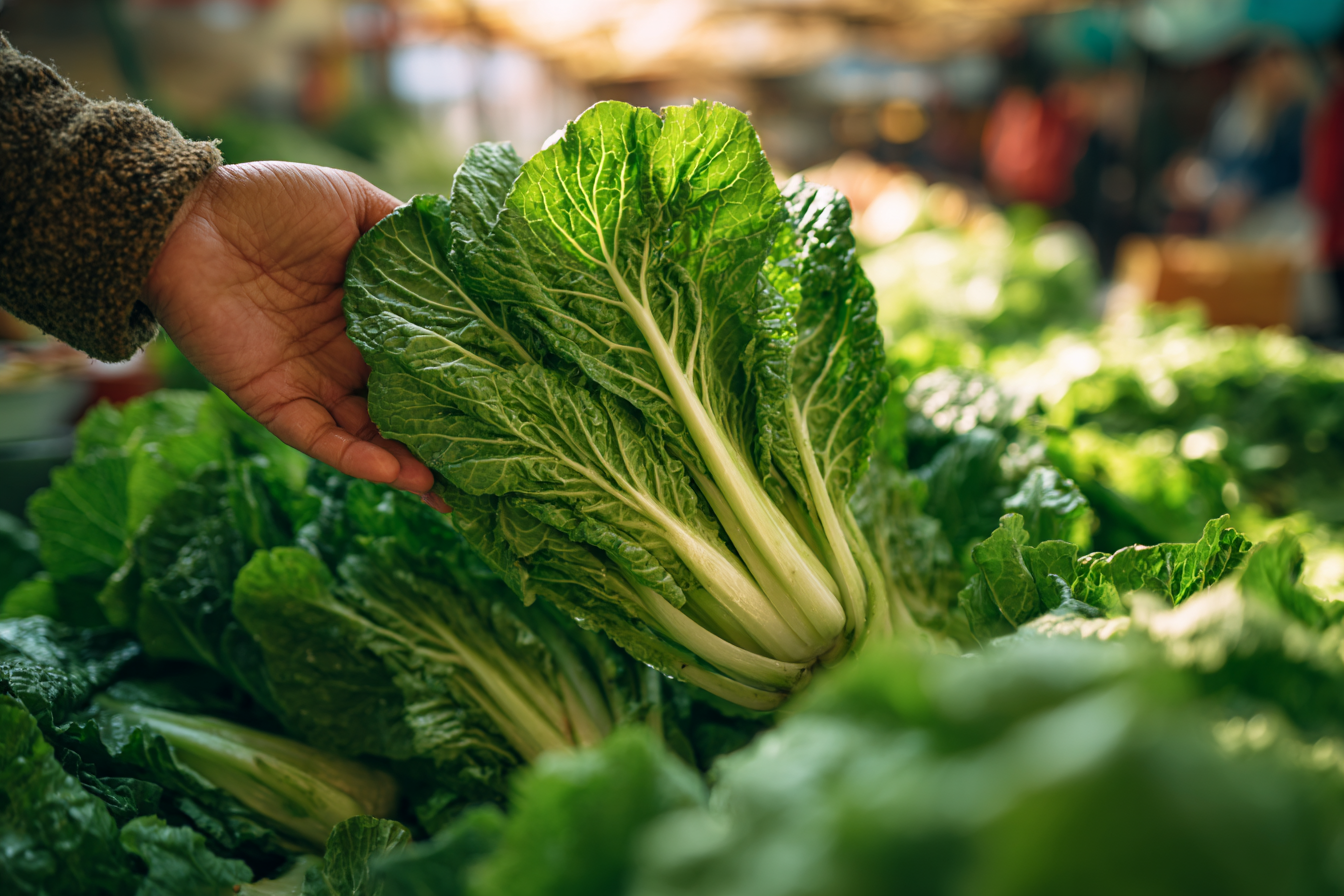 얼갈이배추 고르는 모습