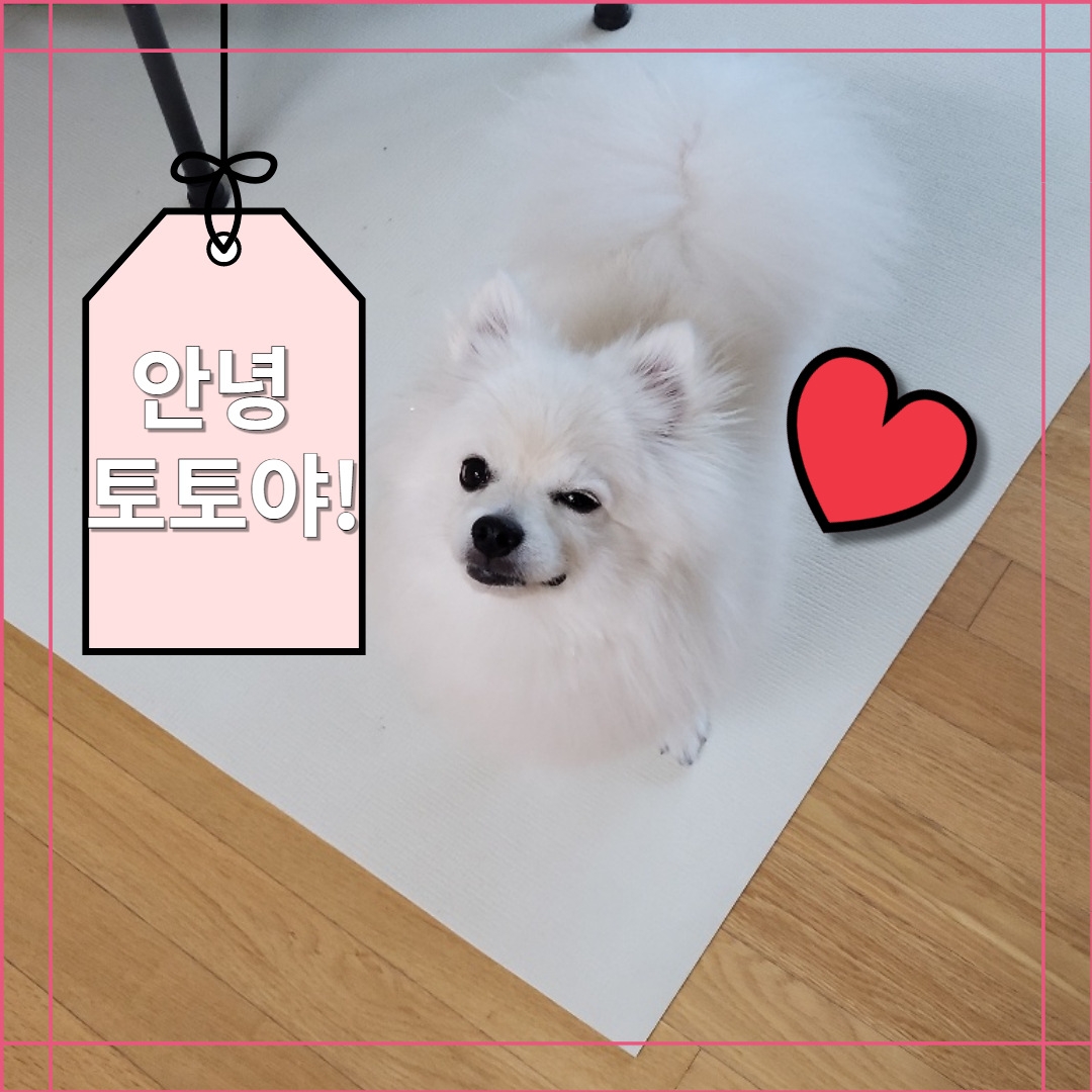 폼피츠 토토