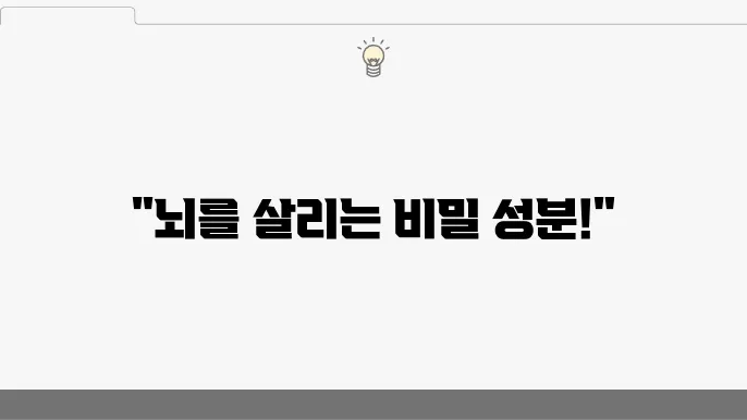 종합적인 뇌 영양제의 효과