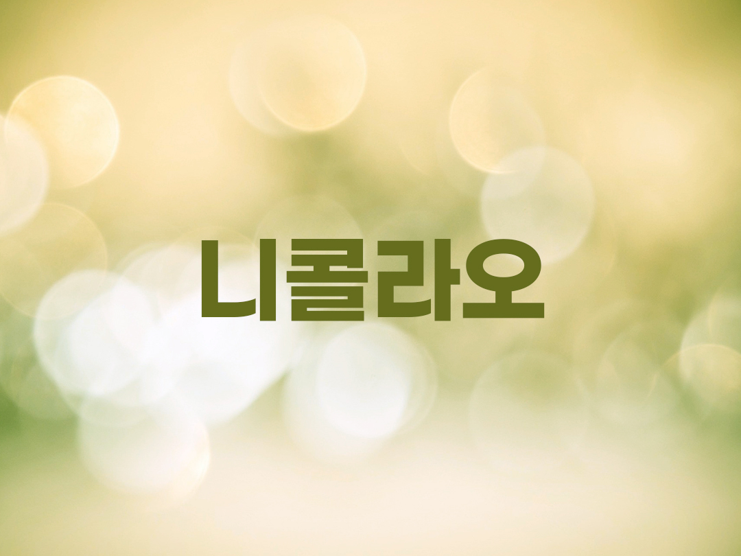 니콜라오 천주교 남자세례명 17인 목록