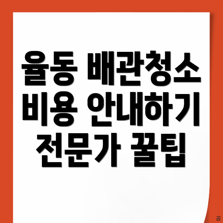 경주시 율동 배관청소