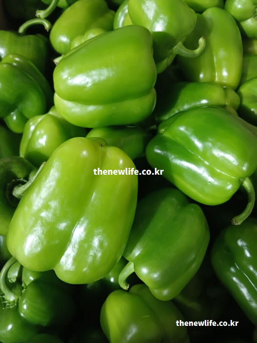 피망 효능 중 철분이 풍부한 청피망의 진한 초록빛이 담긴 실사진