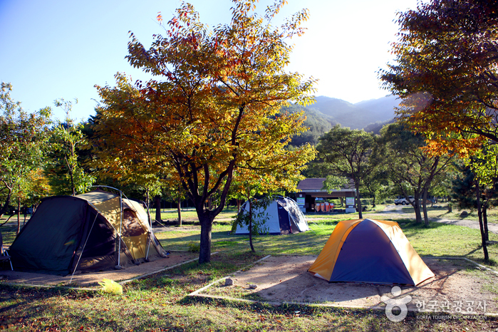 설악산 국립공원 설악동오토캠핑장