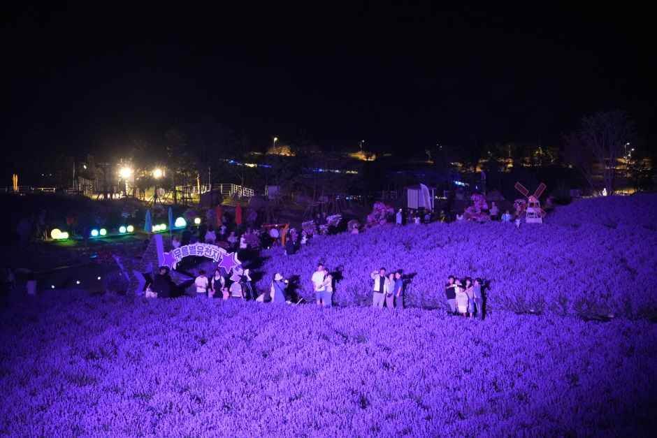 무릉별유천지 라벤더축제