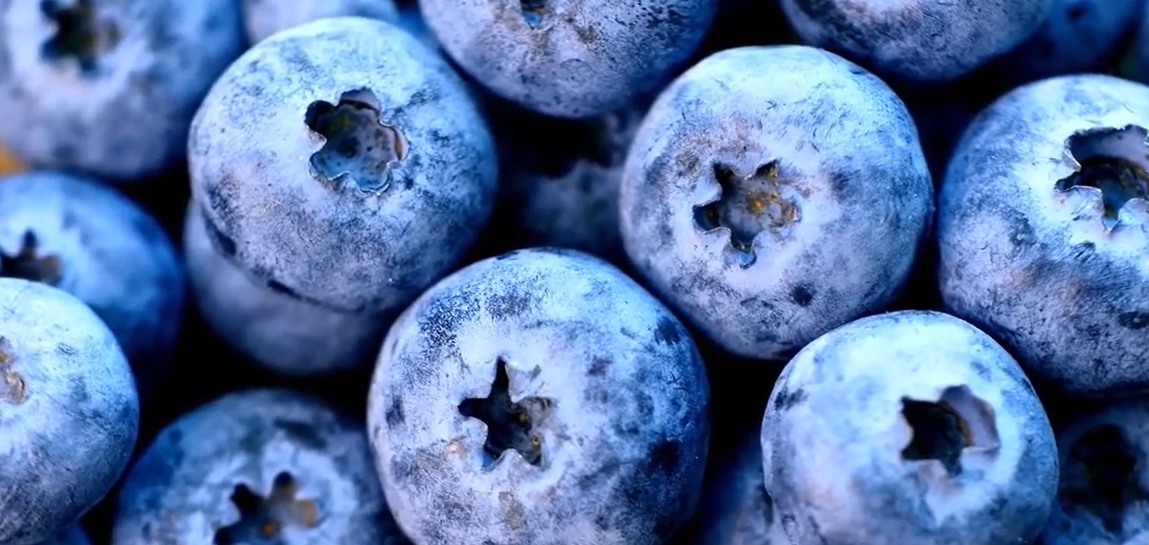 블루베리 효능 부작용