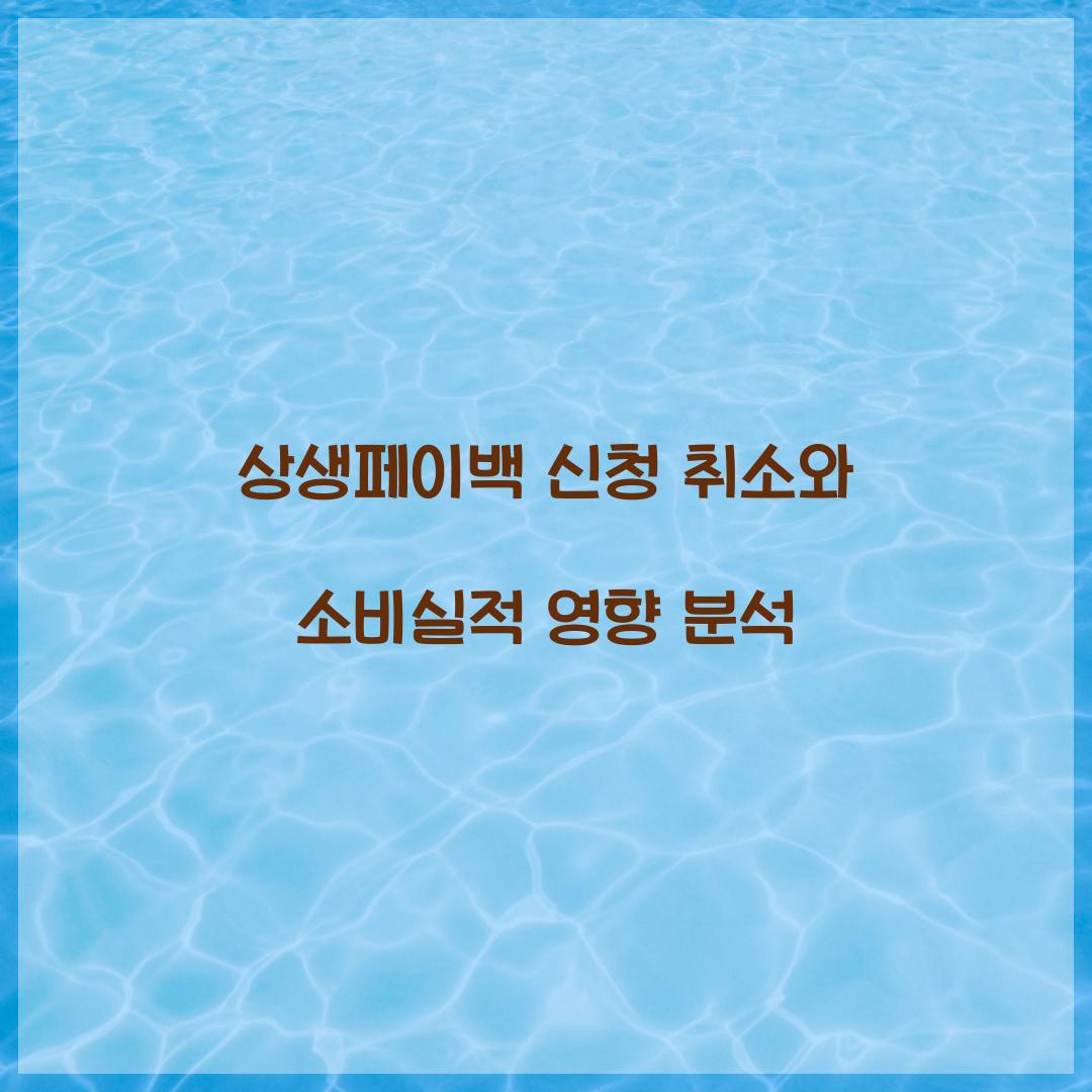 상생페이백 신청 취소와 소비실적 영향 분석