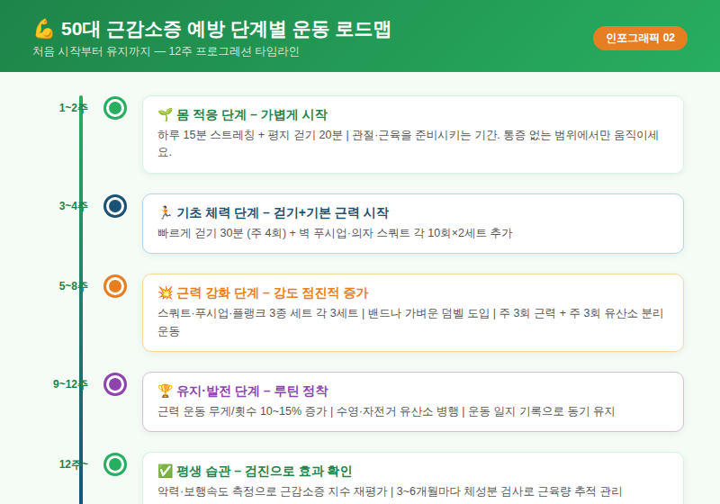 50대 근감소증 예방 운동 12주 로드맵