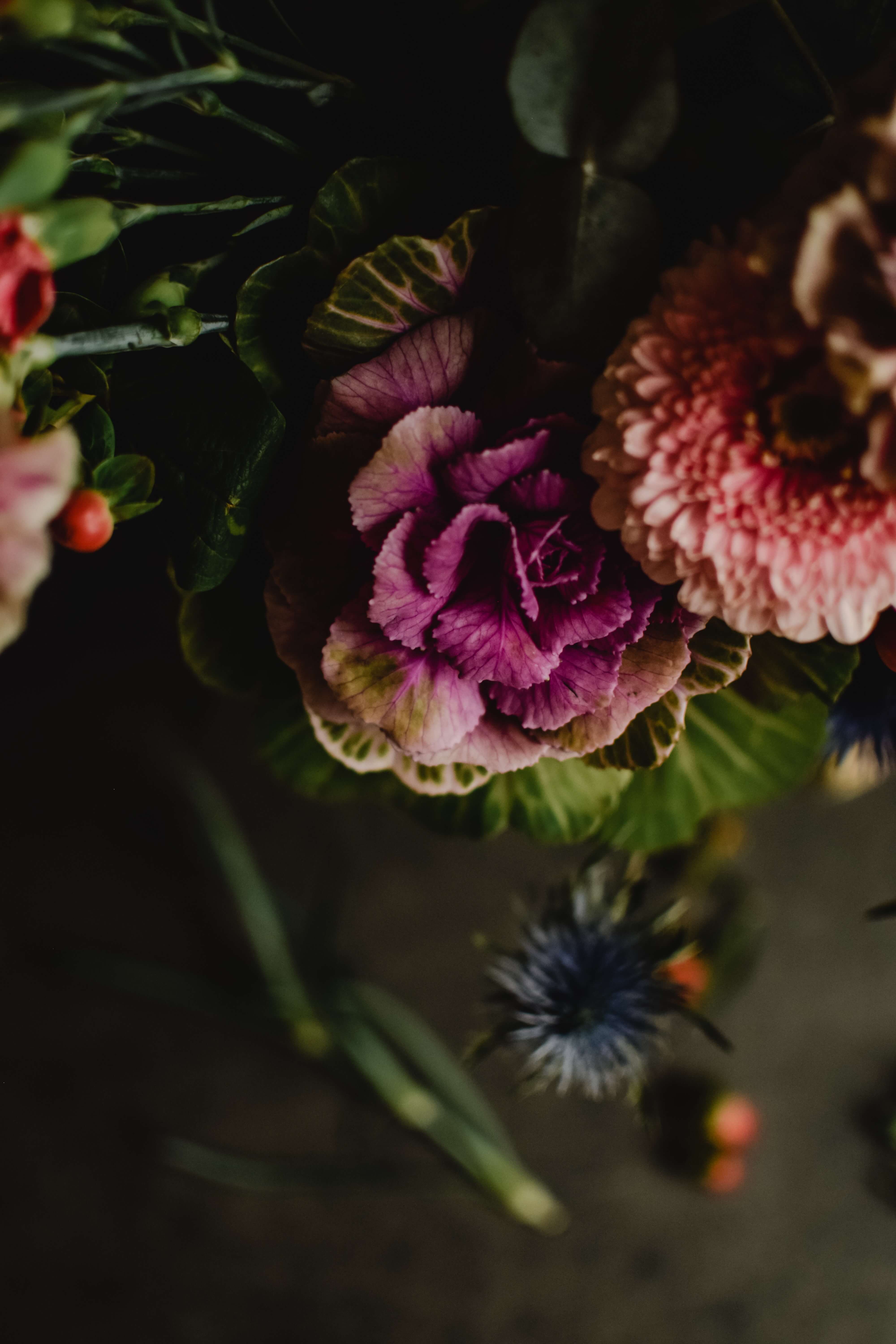 양배추즙 복용방법