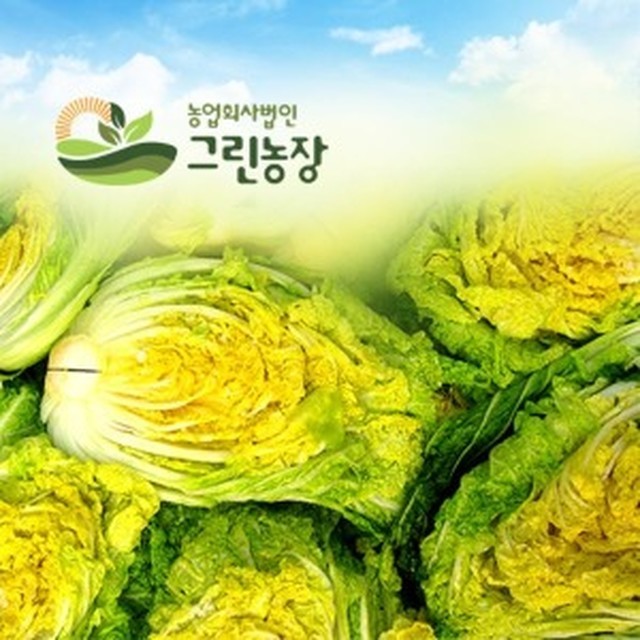 괴산 절임배추