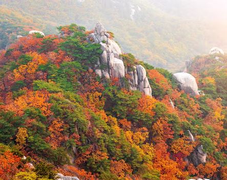 북한산-단풍시기