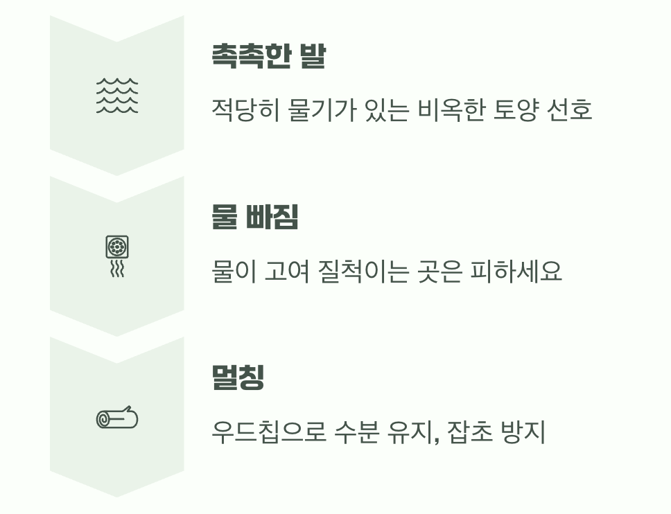 비결 3: &lsquo;촉촉한 발&rsquo;을 좋아하는 나무