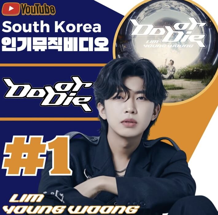 임영웅 do or die 뮤직비디오, 콘서트, 방송활동