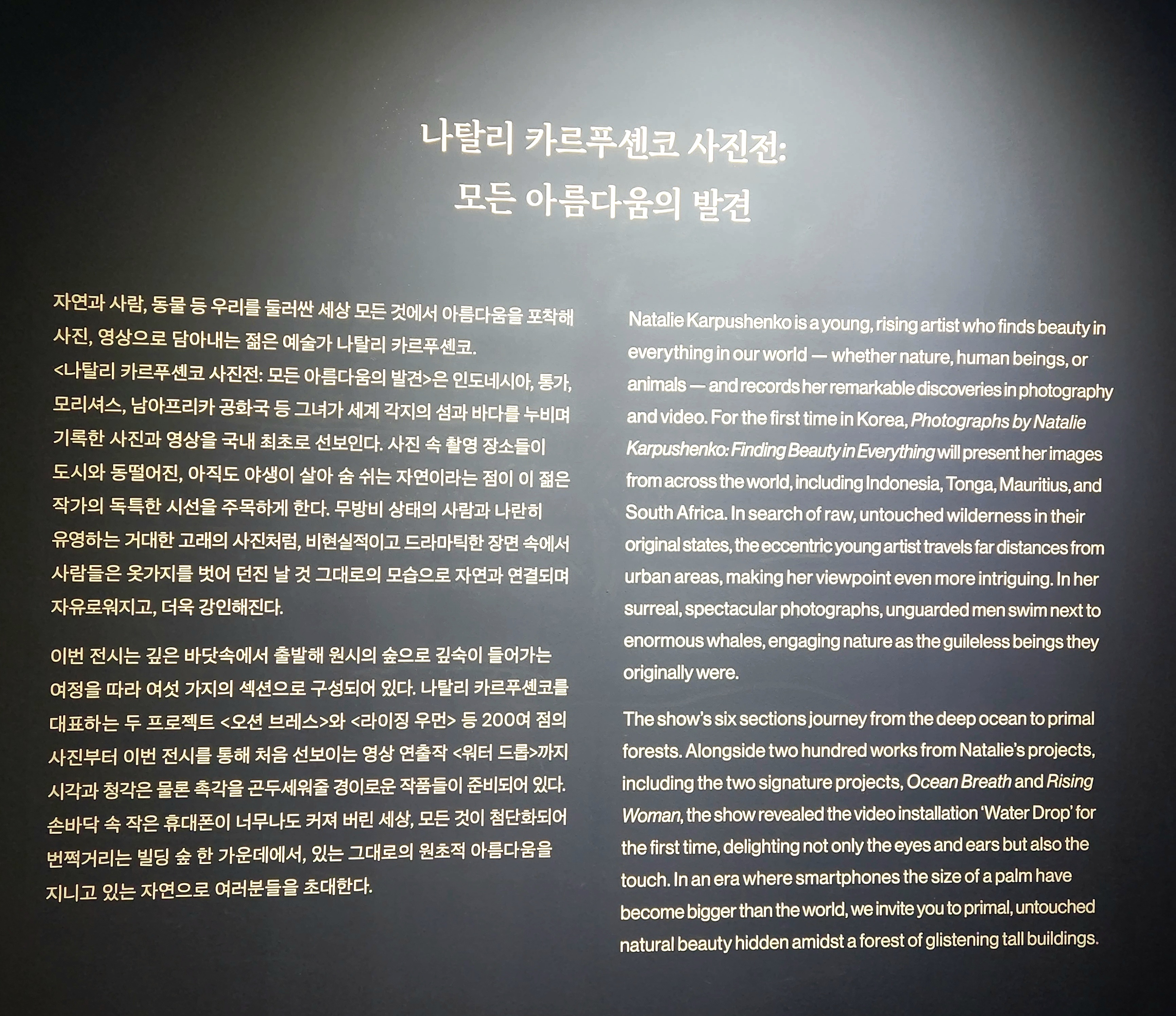 성수 놀거리 전시회