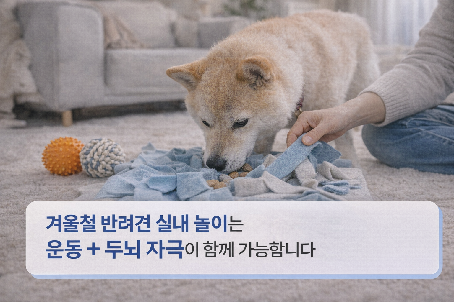 alt="실내에서 가볍게 움직이는 강아지"