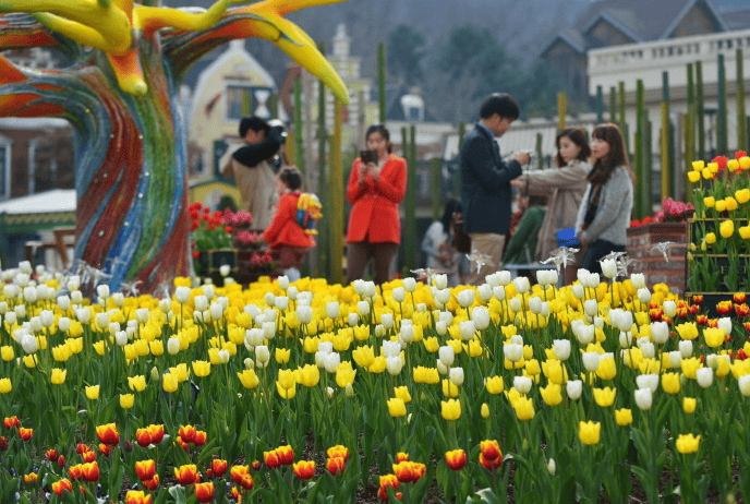 에버랜드 튤립 축제