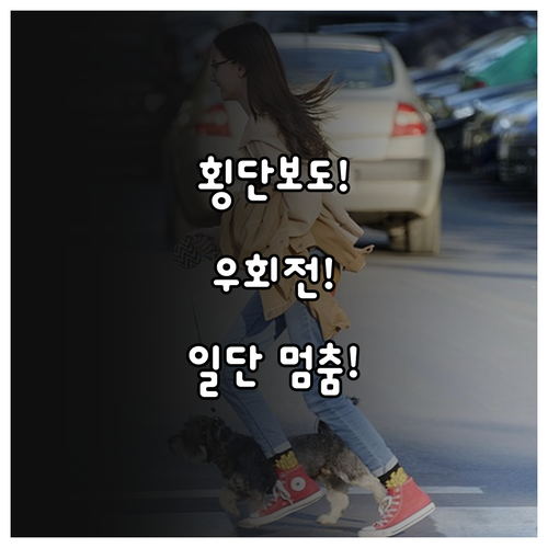 횡단보도 우회전, 일단 멈춤이 답입니..