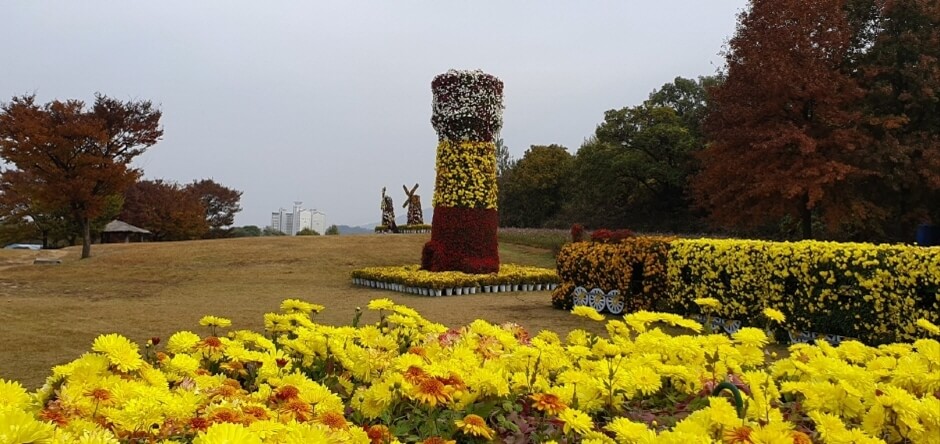 2024연천국화축제