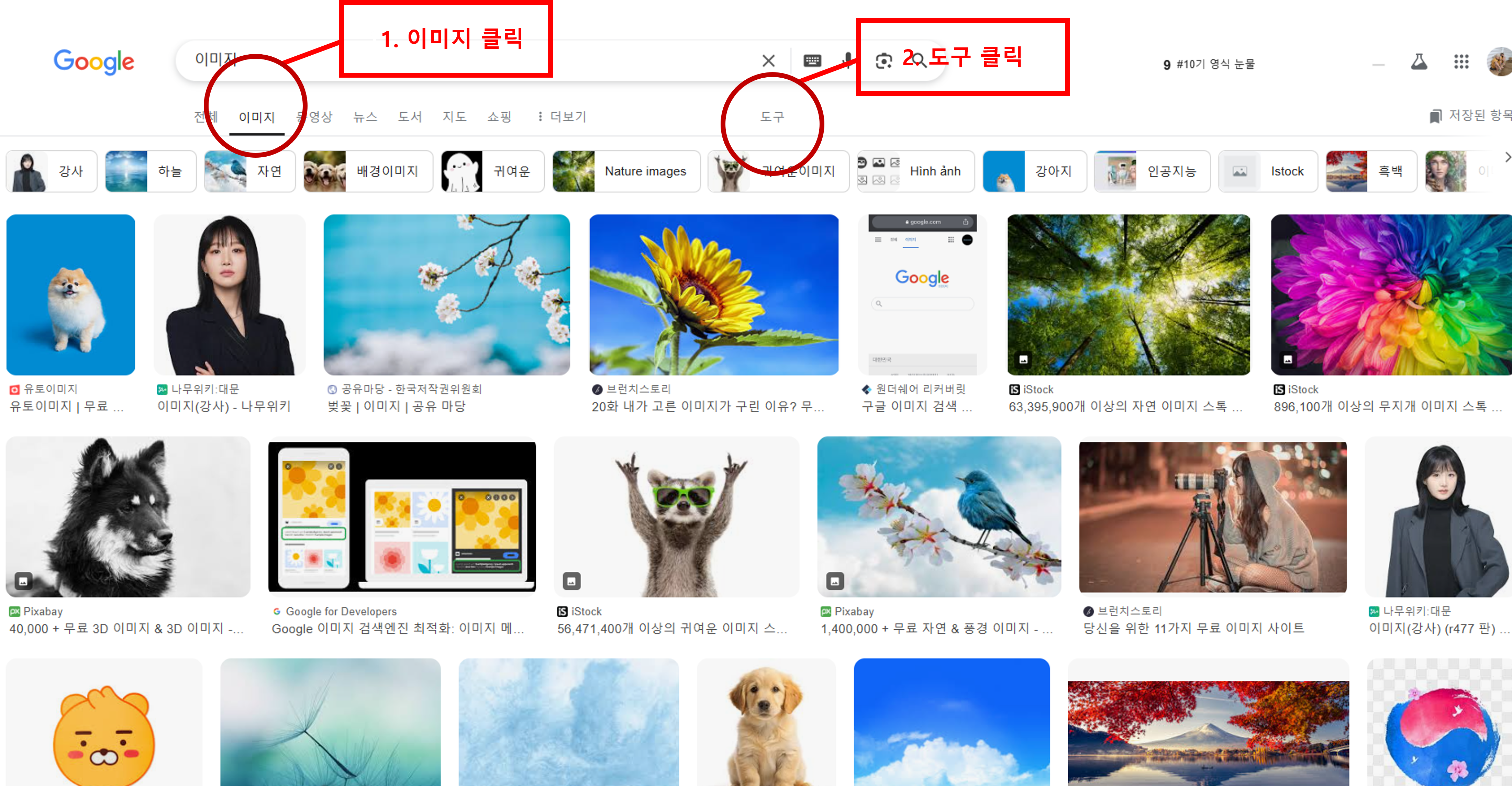 구글 무료 이미지