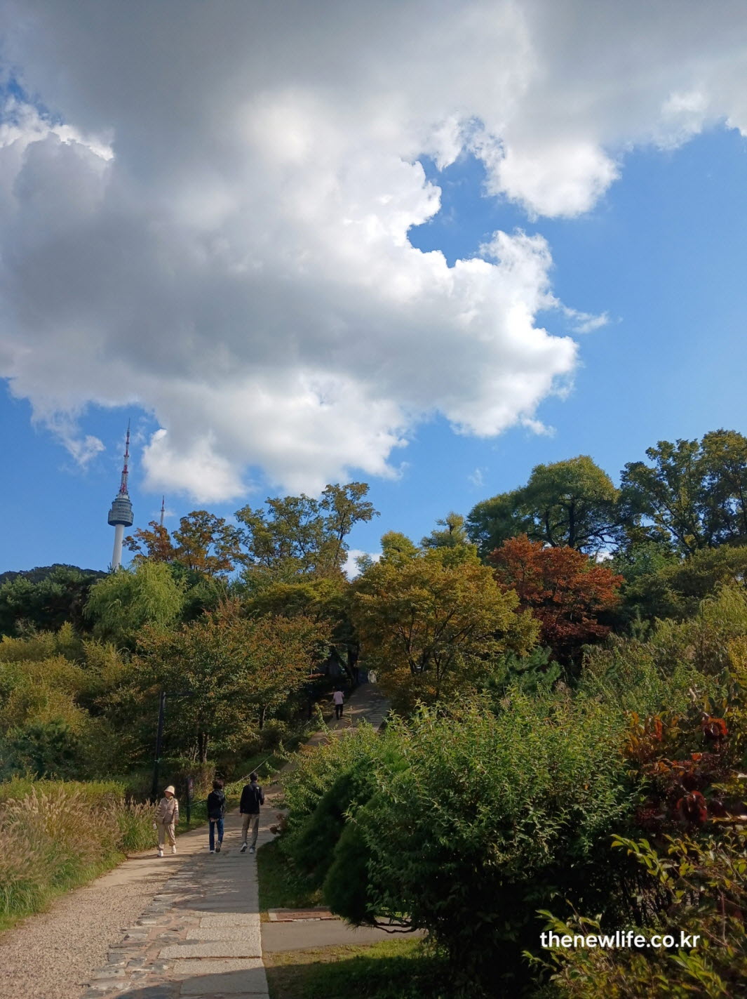 서울 단풍 명소 10월 26일 기준 남산 단풍 모습. 남산타워와 가을 하늘