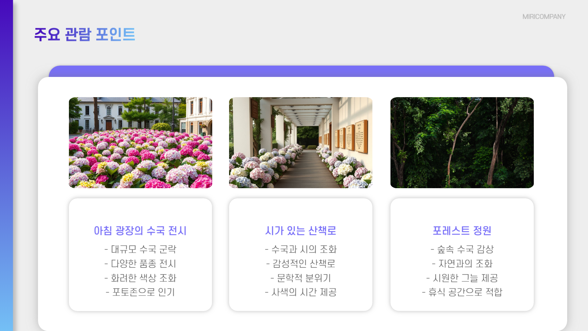 아침고요수목원 수국전시회