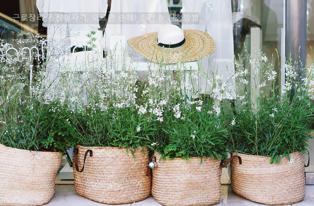 근로장려금 신청자격&amp;#44; 모르면 손해! 조건 &amp; 신청방법