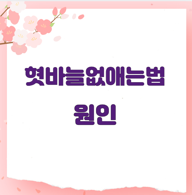 혓바늘없애는법 원인