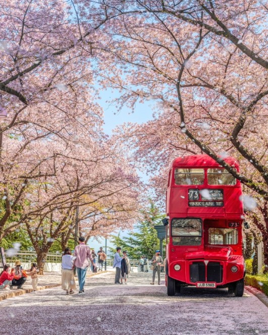 2023년 전국 벚꽃 축제 일정