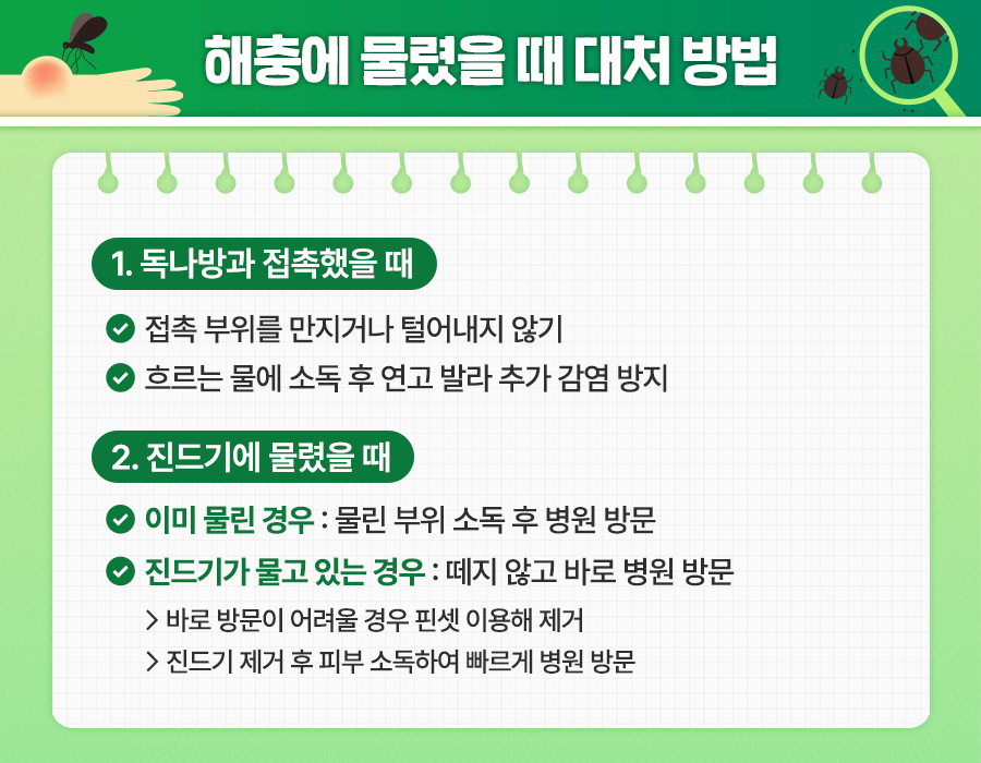 벌레물려가려울때대처법