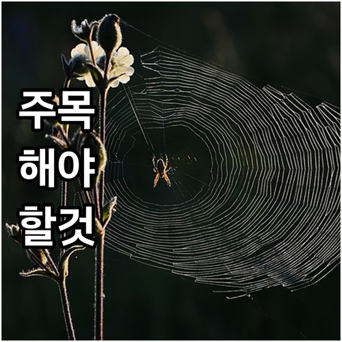 상생페이백 최대 혜택 받기 신청일 기..