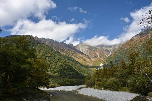 조경학에서 본 도시 인접 산지 조경 관리와 이용 계획