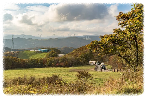 양떼목장만 있는 줄 알았다면 오산! 대관령 하늘목장